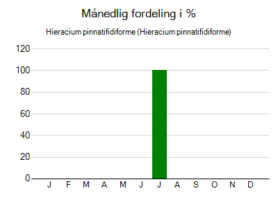 Hieracium pinnatifidiforme - månedlig fordeling