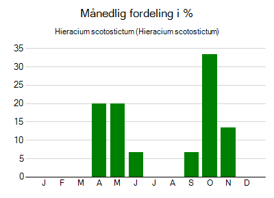 Hieracium scotostictum - månedlig fordeling