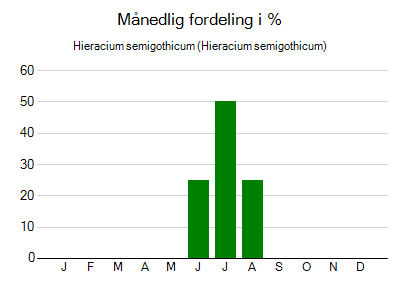 Hieracium semigothicum - månedlig fordeling