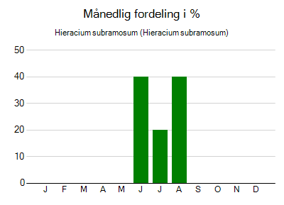 Hieracium subramosum - månedlig fordeling