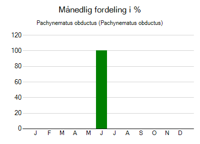 Pachynematus obductus - månedlig fordeling