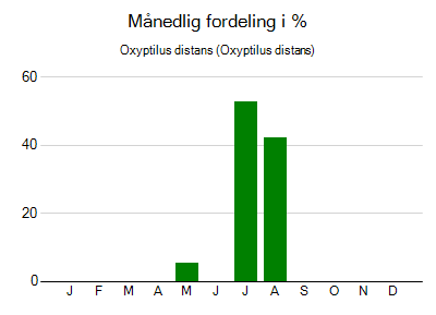 Oxyptilus distans - månedlig fordeling