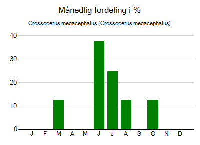 Crossocerus megacephalus - månedlig fordeling