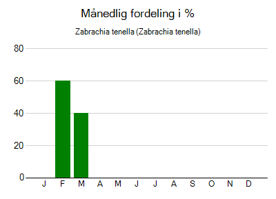 Zabrachia tenella - månedlig fordeling