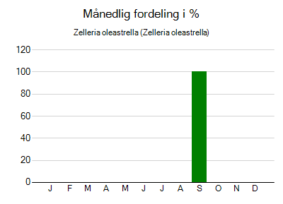 Zelleria oleastrella - månedlig fordeling