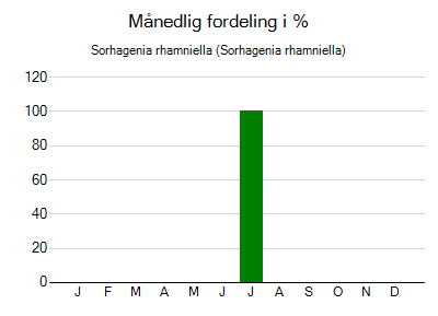 Sorhagenia rhamniella - månedlig fordeling