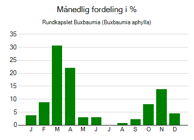 Rundkapslet Buxbaumia - månedlig fordeling