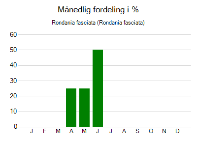 Rondania fasciata - månedlig fordeling