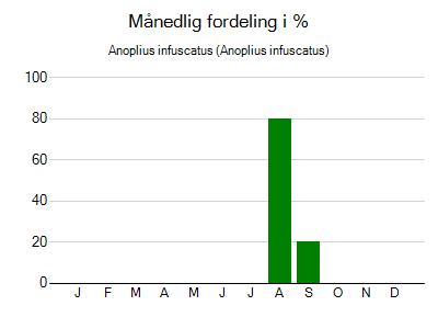 Anoplius infuscatus - månedlig fordeling