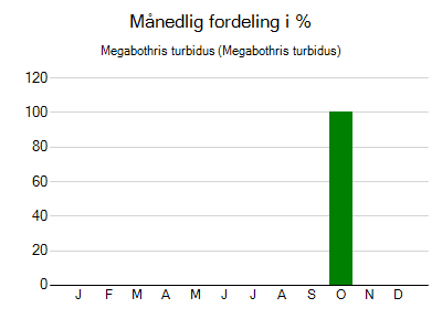 Megabothris turbidus - månedlig fordeling