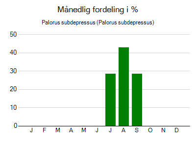 Palorus subdepressus - månedlig fordeling