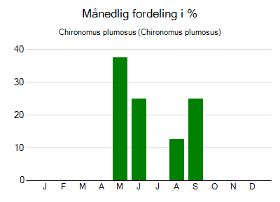 Chironomus plumosus - månedlig fordeling