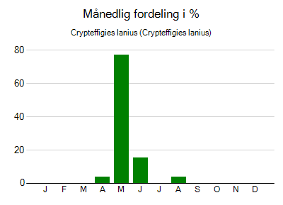 Crypteffigies lanius - månedlig fordeling