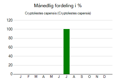 Cryptolestes capensis - månedlig fordeling
