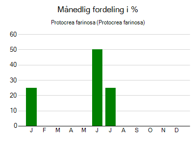 Protocrea farinosa - månedlig fordeling