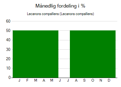 Lecanora compallens - månedlig fordeling