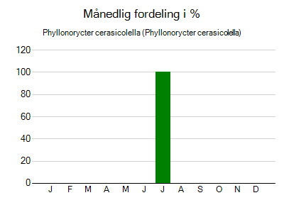 Phyllonorycter cerasicolella - månedlig fordeling