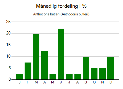 Anthocoris butleri - månedlig fordeling