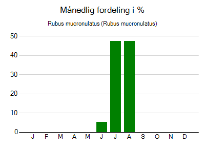 Rubus mucronulatus - månedlig fordeling