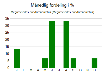 Megamelodes quadrimaculatus - månedlig fordeling
