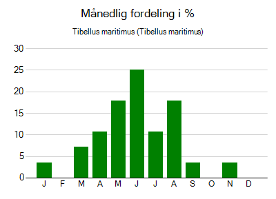 Tibellus maritimus - månedlig fordeling