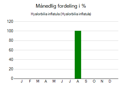 Hyalorbilia inflatula - månedlig fordeling