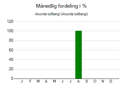 Anurida tullbergi - månedlig fordeling