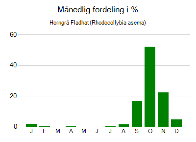 Horngrå Fladhat - månedlig fordeling