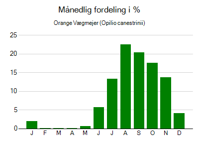 Orange Vægmejer - månedlig fordeling