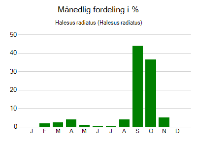 Halesus radiatus - månedlig fordeling