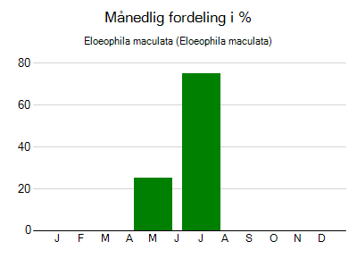Eloeophila maculata - månedlig fordeling