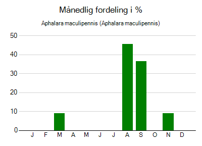 Aphalara maculipennis - månedlig fordeling