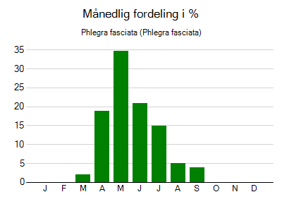 Phlegra fasciata - månedlig fordeling