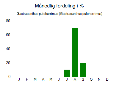 Gastracanthus pulcherrimus - månedlig fordeling