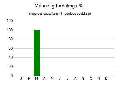 Trissolcus scutellaris - månedlig fordeling