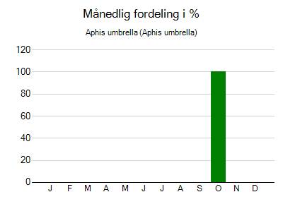 Aphis umbrella - månedlig fordeling