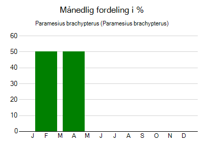 Paramesius brachypterus - månedlig fordeling