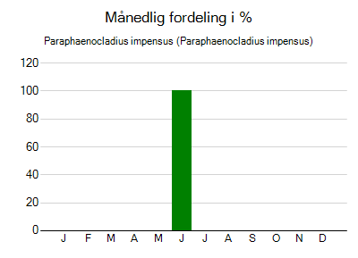 Paraphaenocladius impensus - månedlig fordeling
