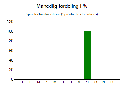 Spinolochus laevifrons - månedlig fordeling
