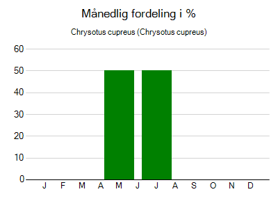 Chrysotus cupreus - månedlig fordeling