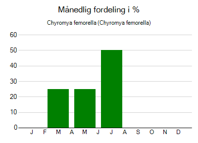 Chyromya femorella - månedlig fordeling