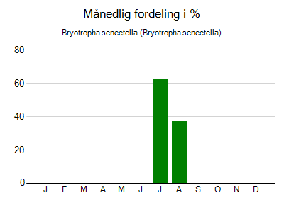 Bryotropha senectella - månedlig fordeling