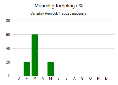 Canadisk Hemlock - månedlig fordeling