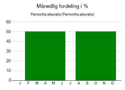 Parmortha pleuralis - månedlig fordeling
