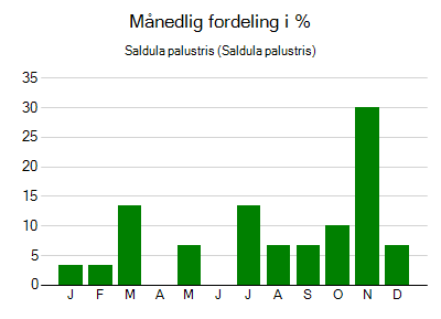 Saldula palustris - månedlig fordeling