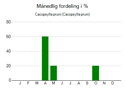 Cacopsylla pruni - månedlig fordeling