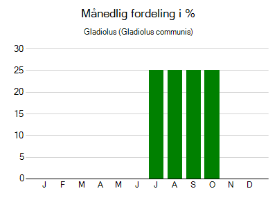 Gladiolus - månedlig fordeling