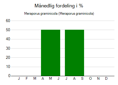 Meraporus graminicola - månedlig fordeling
