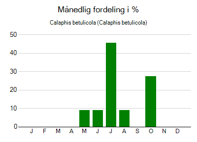 Calaphis betulicola - månedlig fordeling