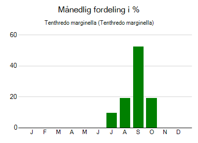 Tenthredo marginella - månedlig fordeling